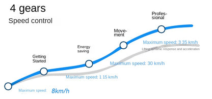 Wooden Speed Dragon Electric Skateboard Four-Wheel Beginner Electric Scooter Adult Skateboard Remote Control Scooter Dog Walking Artifact